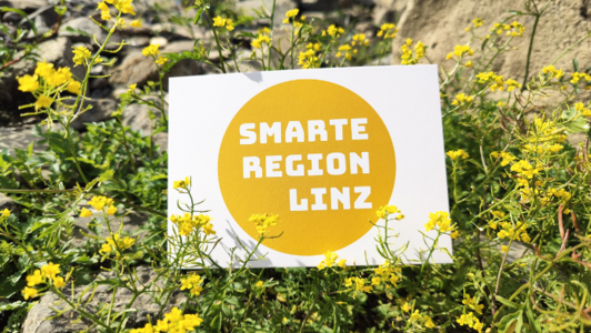 Projekt: Smarte Region Linz